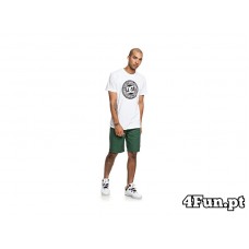 T-SHIRT DC SHOES CIRCLE STAR SS 2 BRANCO
